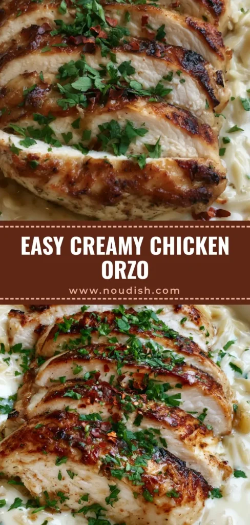 Creamy Chicken Orzo with Garlic Cream Sauce and Seared Chicken 4 A handheld smartphone photo of a white shallow ceramic bowl filled with Creamy Chicken Orzo, topped with five seared chicken slices and fresh parsley.