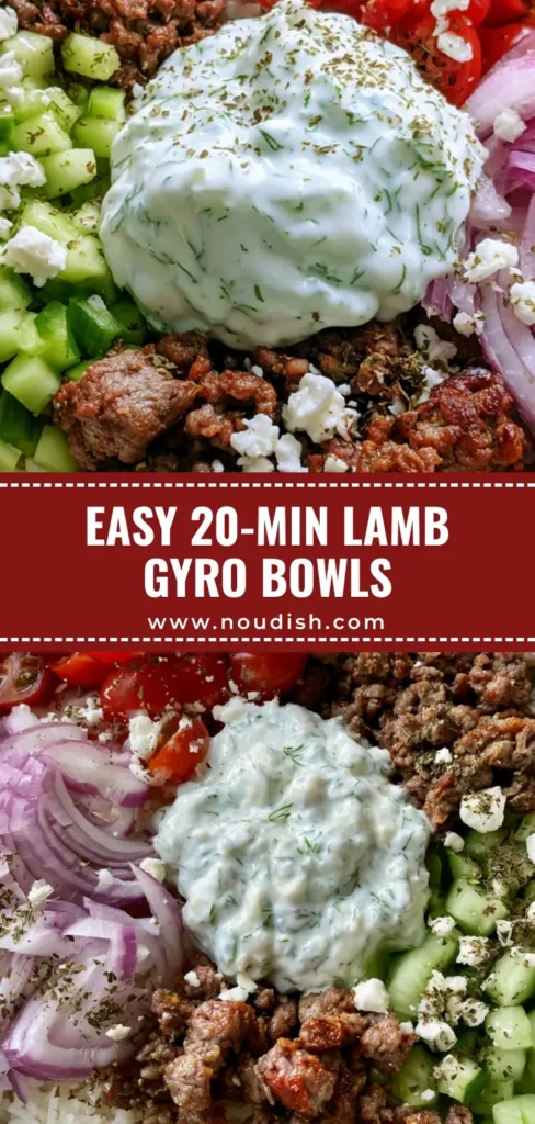 Greek Lamb Gyro Bowls with Creamy Tzatziki and Fluffy Rice 3 A top-down view of a Greek Lamb Gyro Bowl with white rice, seared ground lamb, cucumbers, tomatoes, red onions, and a center dollop of tzatziki.
