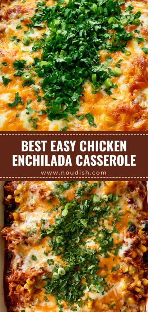 Chicken Enchilada Casserole: The Ultimate Cheesy Weeknight Dinner 3 A top-down view of a Chicken Enchilada Casserole in a white dish with bubbling cheese, black beans, corn, and green onion garnish.